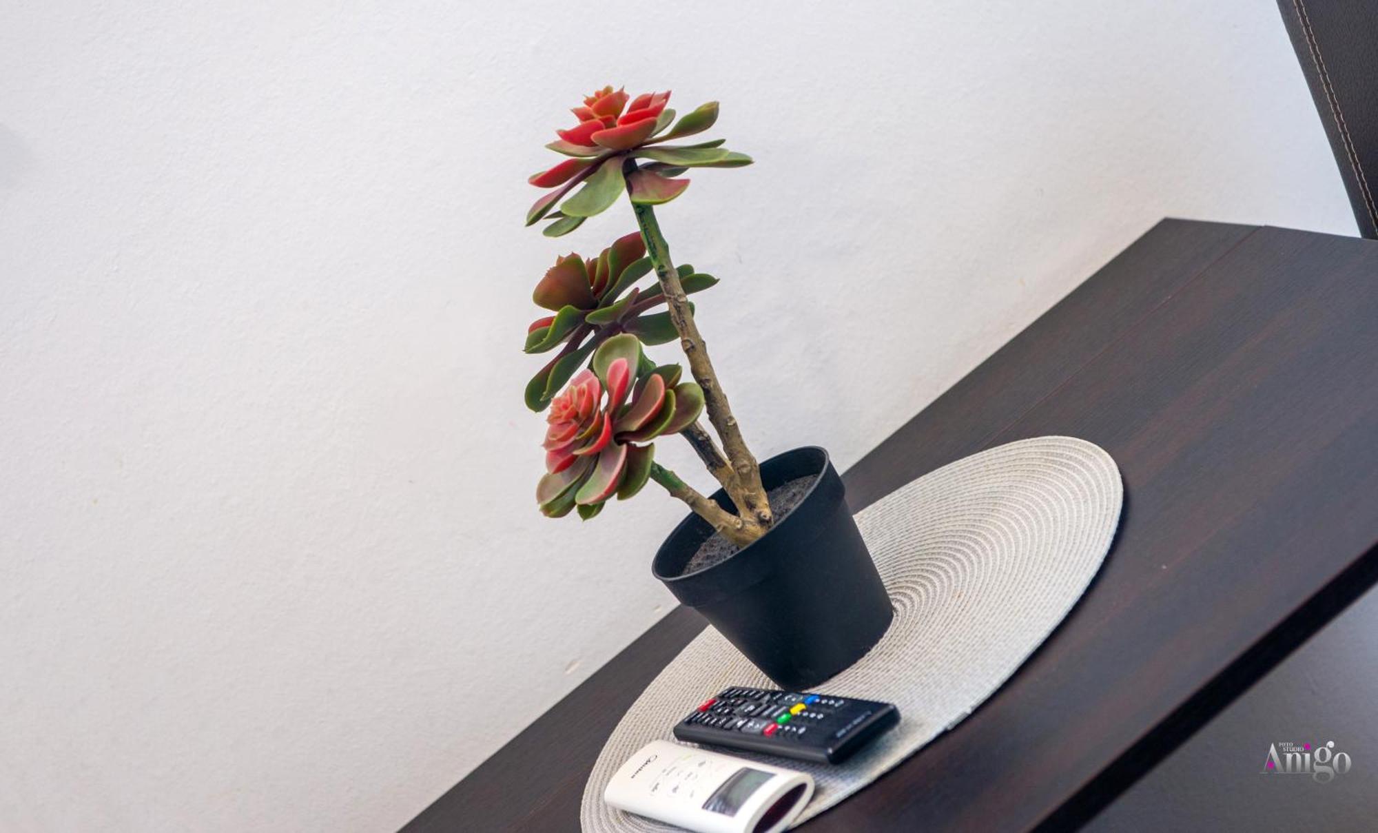 Apartments Enigma - With Private Parking Mostar Exterior foto
